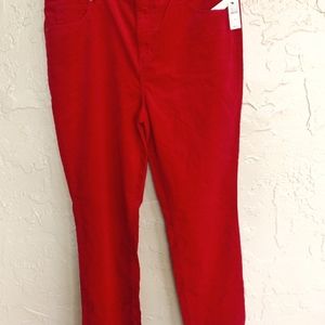 Red Velvety High Waist NWT Talbot Size 16